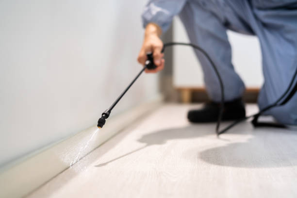 Bed Bug Pre-Treatment Preparation Assessment in Oyster Creek