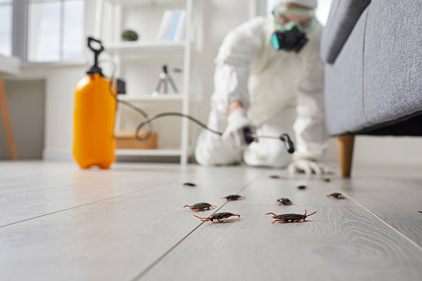 Post-Treatment Bed Bug Interceptor Monitoring in Oyster Creek