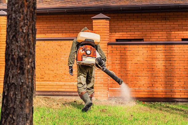 Bed Bug Clearance Verification and Documentation in Oyster Creek